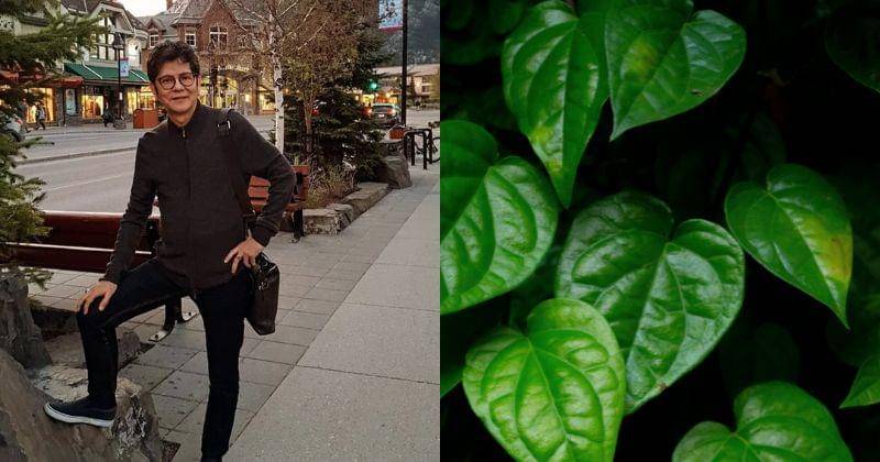 Instagram.com/drboykediannugraha, Pexels/Nischal Mudennavar